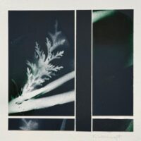145-0 Elli Weishaupt                 "o.T.II"