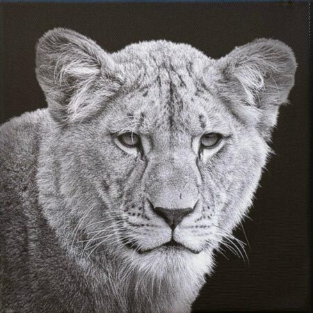 116 Silke Halbmann "Die Herrscherin"