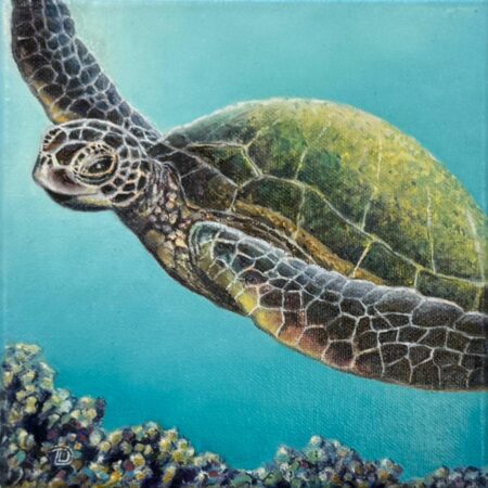 051 Doris Dreis "Meeresschildkröte"