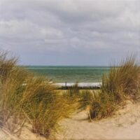 121 Dagmar Delker "Dünen in Breskens, NL"