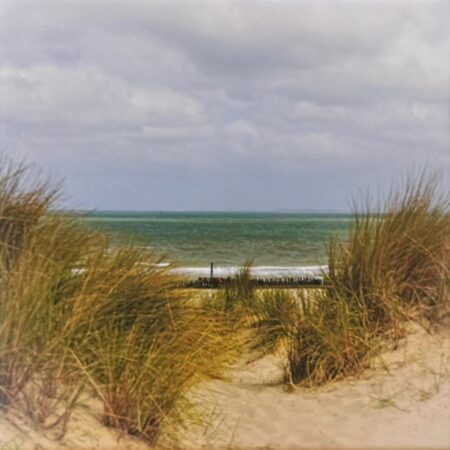 121 Dagmar Delker "Dünen in Breskeus, NL"