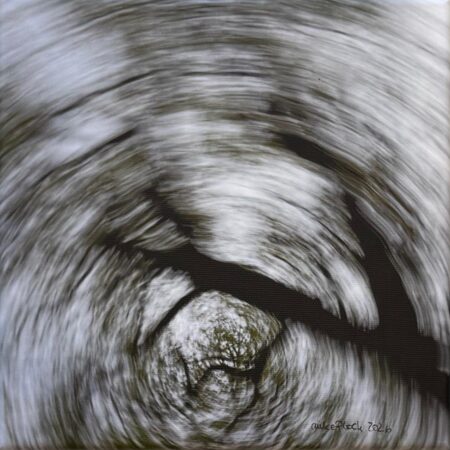 114 Anke Plock "Kreisende Baumkrone"