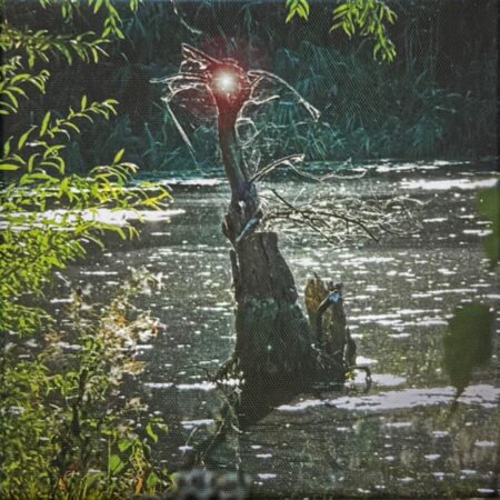 093 Nikolei Krone "Das Alien aus dem Bergwerksee"