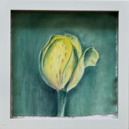 037 Claudia Lingen "gelbe Tulpe"