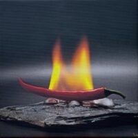 103 Klaus Berkefeld "Hot Spice"