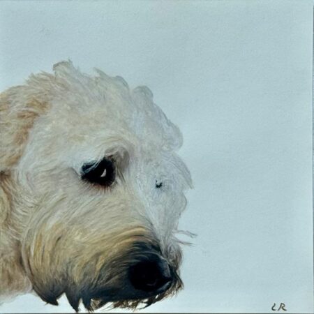 149 Lexi Rumpel "Oskar 1"