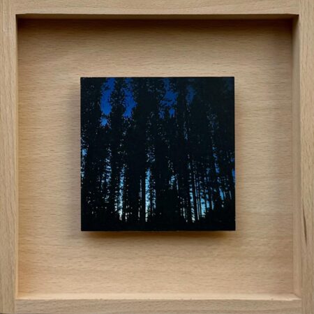 070 Sebastian Meraner "Canadian Eve"